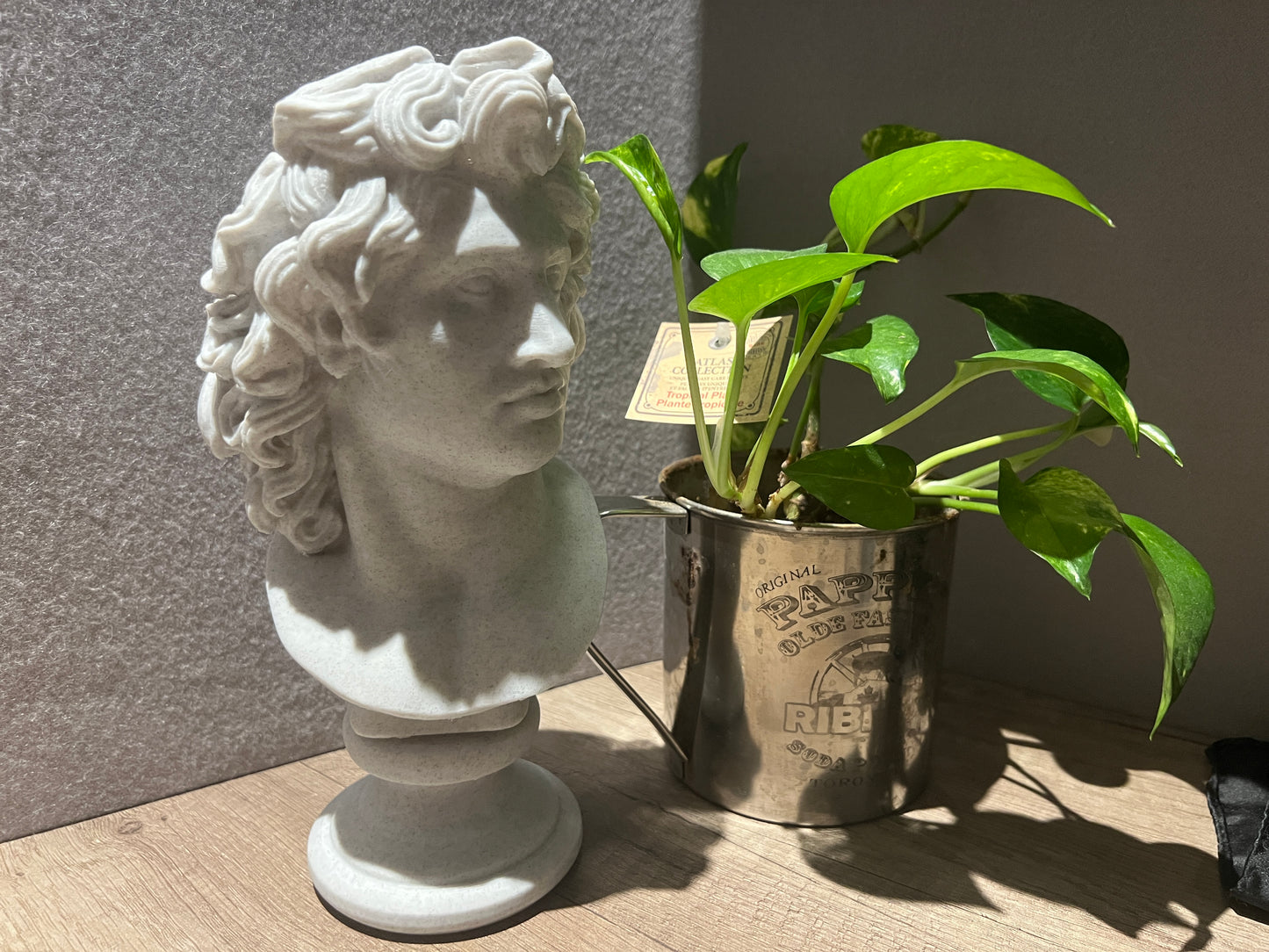 Custom 3D Portrait – Paid Preview