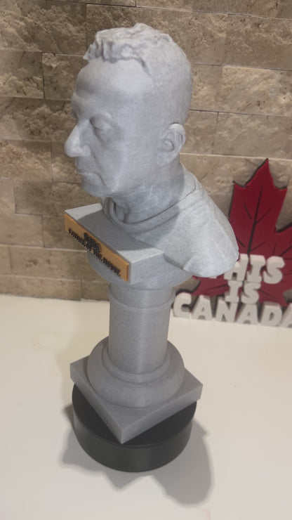 Custom 3D Portrait – Paid Preview